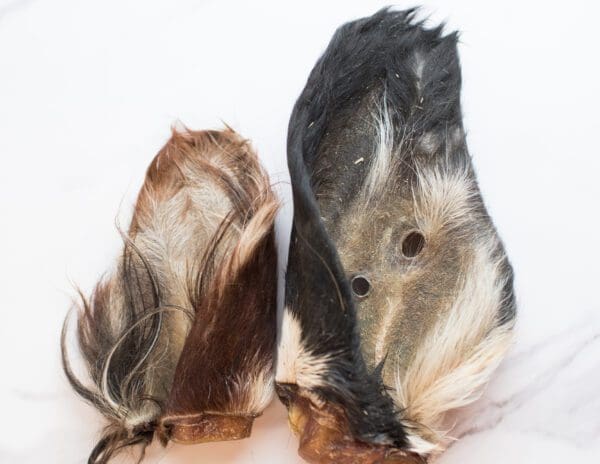 Two feathers are sitting side by side on a table.