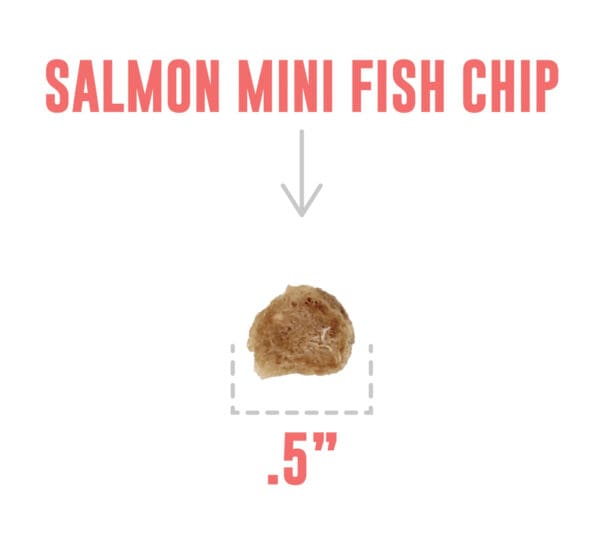A fish chip is shown with the words " salmon mini fish chips ".